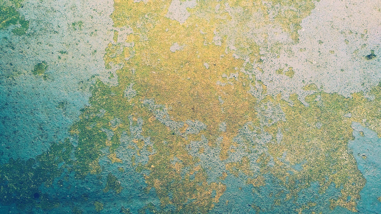 Modern kantoor met natuurlijke groene wanden.