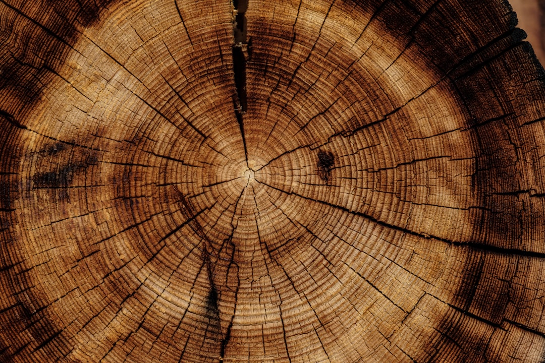 Oude houten kast opnieuw beschilderd en opgeknapt. Oude houten kast opnieuw beschilderd en opgeknapt.
