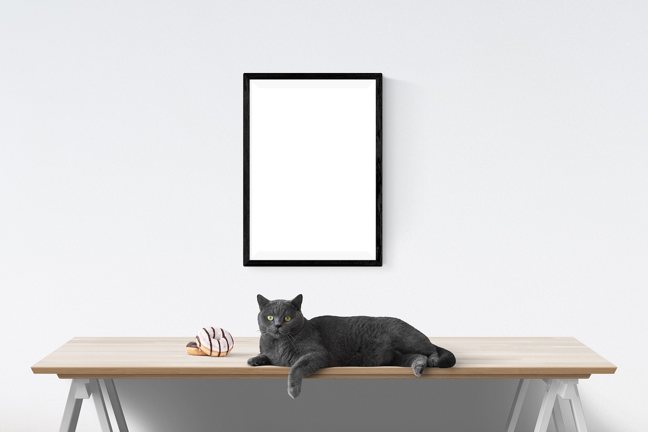 Stijlvolle akoestiek met Praagse canvas kunst Stijlvolle akoestiek met Praagse canvas kunst